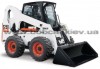   Bobcat (   )