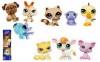 Hasbro     . 93664148