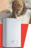 PROTHERM ()